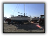 picture-2
