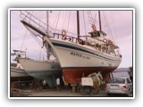 picture-41