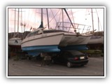 picture-44