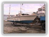 picture-49