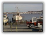 picture-6