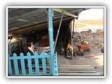 picture-7